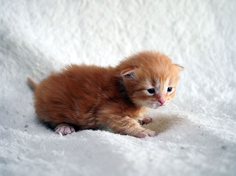 Olli am 8. März 2025